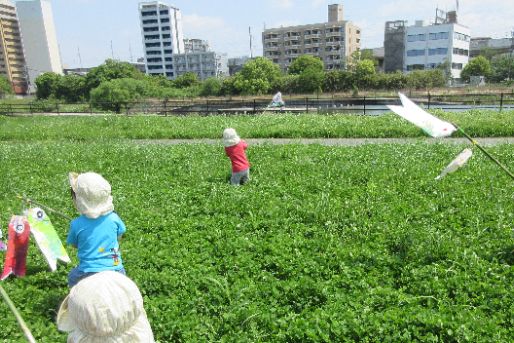 しあわせな木保育園(福岡県福岡市博多区)