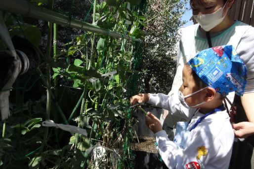 睦美幼稚園(京都府京都市伏見区)