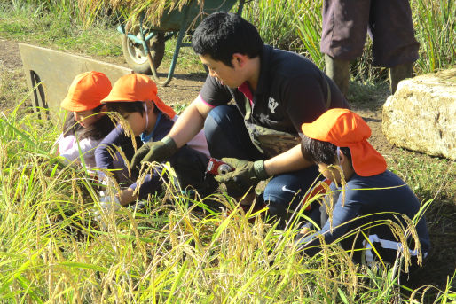 下落合そらいろ保育園(東京都新宿区)