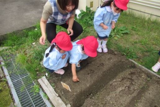 鶴ケ谷幼稚園(宮城県仙台市宮城野区)