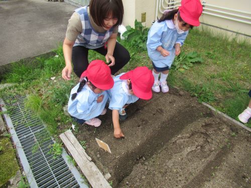 鶴ケ谷幼稚園(宮城県仙台市宮城野区)