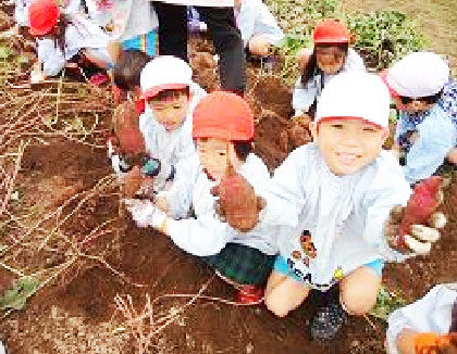 守谷ひばり幼稚園(茨城県守谷市)