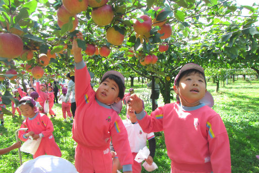 認定こども園 薬師寺幼稚園(栃木県下野市)