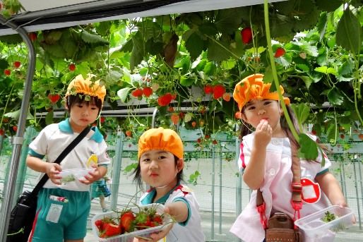 春日部成就院幼稚園(埼玉県春日部市)