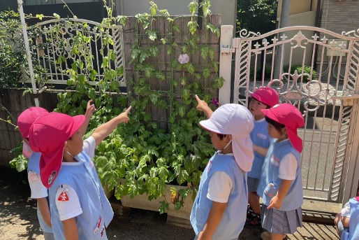 第一新座幼稚園(埼玉県新座市)