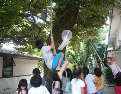 レジナ幼稚園(東京都江戸川区)