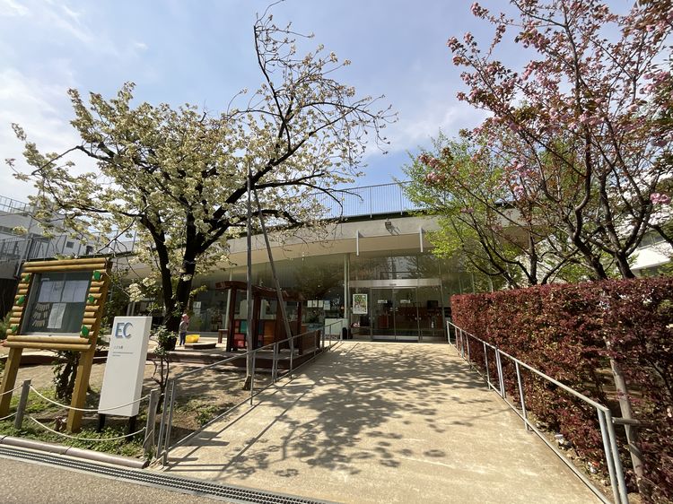 昭和女子大学附属昭和こども園(東京都世田谷区)
