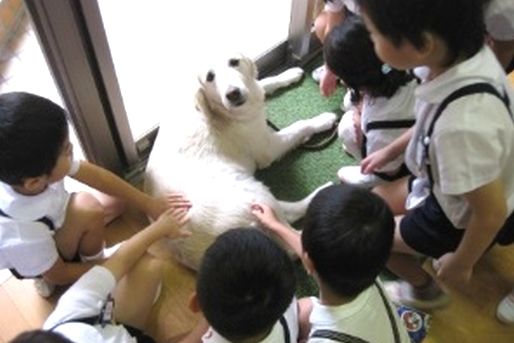 田端さくら幼稚園(東京都北区)