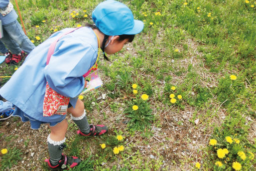 武蔵野大学附属有明こども園(東京都江東区)