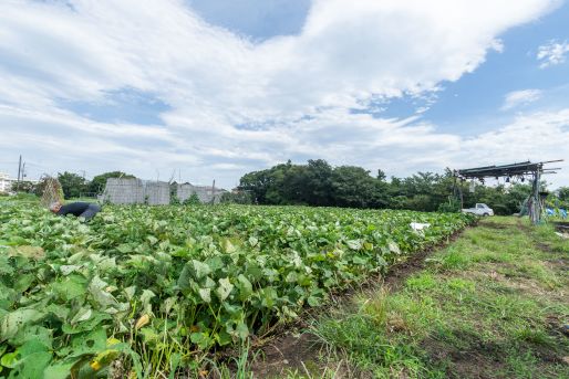 藤沢いずみ幼稚園(神奈川県藤沢市)