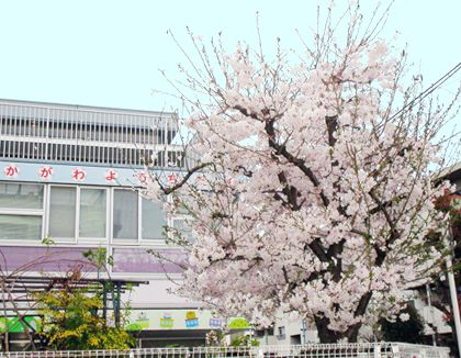 赤川幼稚園(大阪府大阪市旭区)