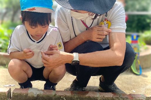 認定こども園 桃の里幼稚園(大阪府東大阪市)