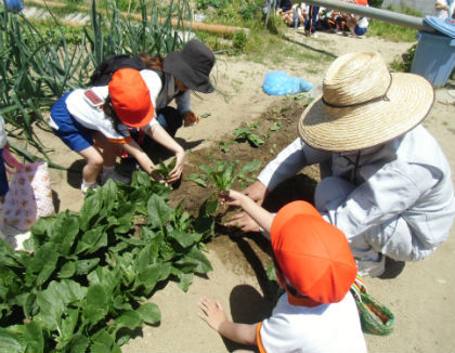 幼稚園型認定こども園 舞子幼稚園(兵庫県神戸市垂水区)