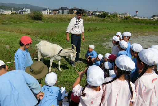 和歌山中央幼稚園(和歌山県岩出市)