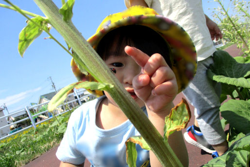 小規模保育園ひかりの(北海道北見市)
