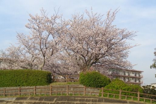 日の里東保育園(福岡県宗像市)