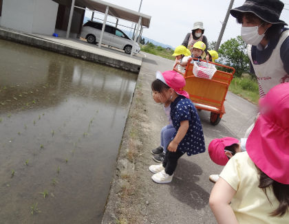 ニチイ弓庄保育所(富山県中新川郡上市町)