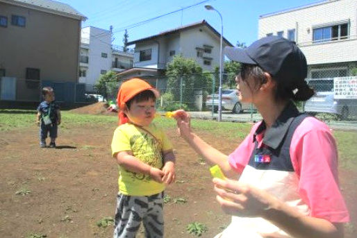 ニチイキッズところざわ保育園(埼玉県所沢市)