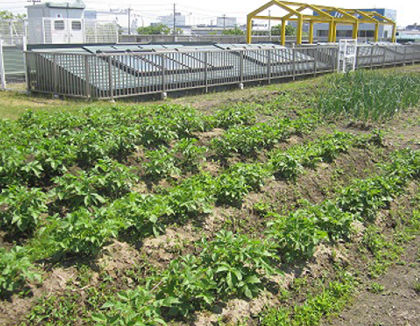 扇町まるさんかくしかく保育園(宮城県仙台市宮城野区)