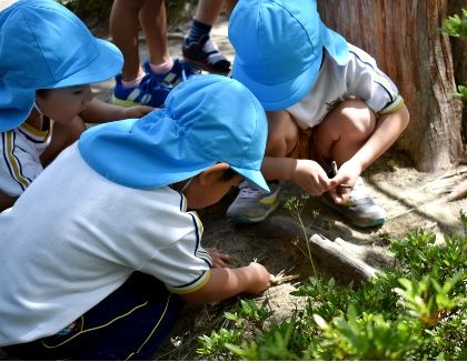 みやの森こども園(宮城県黒川郡大和町)