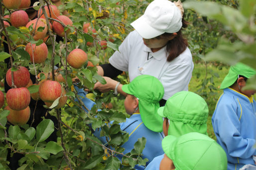 認定こども園 おおひら万葉こども園(宮城県黒川郡大衡村)