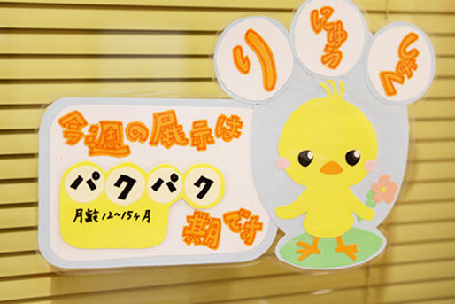 あいぐらん保育園瀬名(静岡県静岡市葵区)