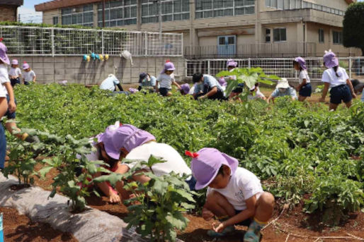 小山保育園(茨城県坂東市)
