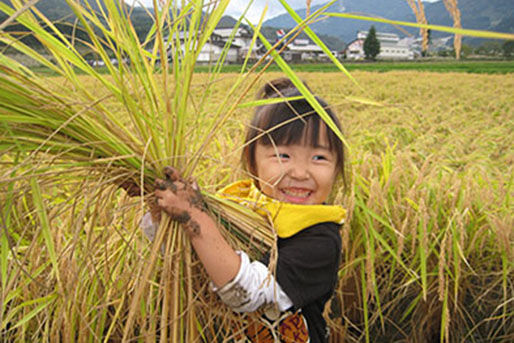 越谷どろんこ保育園(埼玉県越谷市)