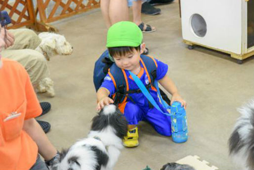キッズ大陸しょうなん辻堂園(神奈川県藤沢市)