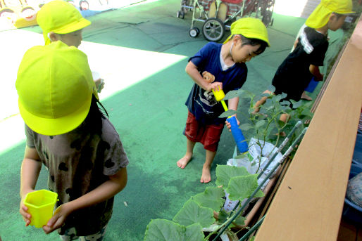 ほっぺるランド勝どき(東京都中央区)