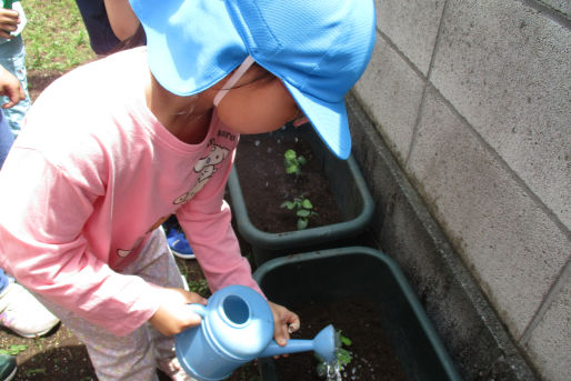 ほっぺるランド板橋小豆沢(東京都板橋区)