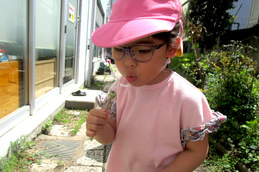 ほっぺるランド板橋小豆沢(東京都板橋区)