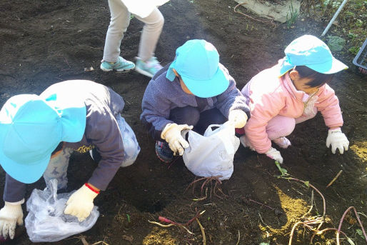 ほっぺるランド西新小岩(東京都葛飾区)