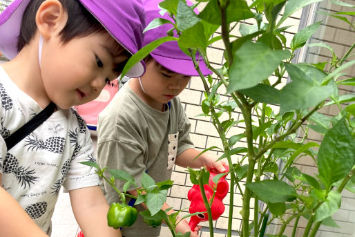 ほっぺるランド佃大橋(東京都中央区)