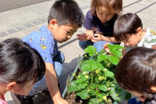 ほっぺるランド佃大橋(東京都中央区)