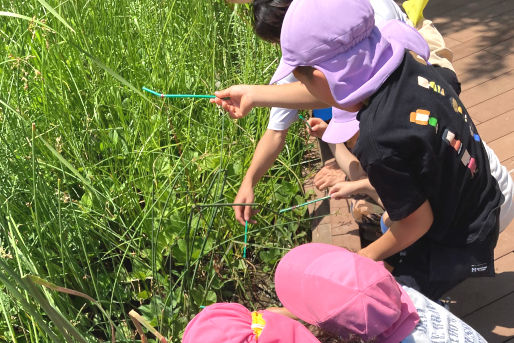 ほっぺるランド高輪二丁目(東京都港区)
