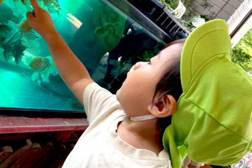 ほっぺるランド大谷口(東京都板橋区)