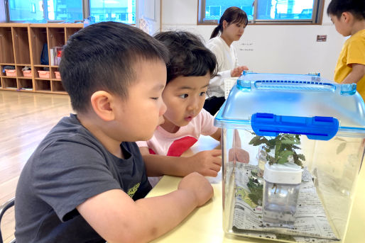 ほっぺるランド上落合(東京都新宿区)