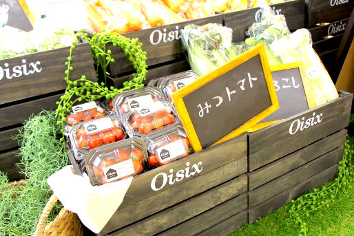 ほっぺるランド東陽町(東京都江東区)