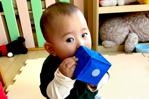 ほっぺるランド中葛西(東京都江戸川区)