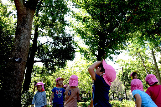 ほっぺるランド中葛西(東京都江戸川区)