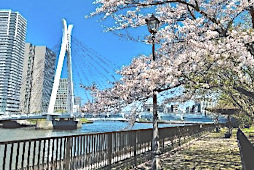 ほっぺるランド佃(東京都中央区)