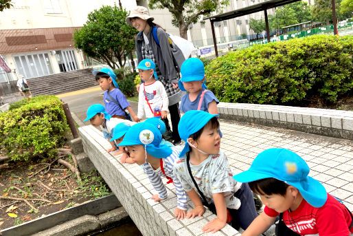 本所たから保育園(東京都墨田区)