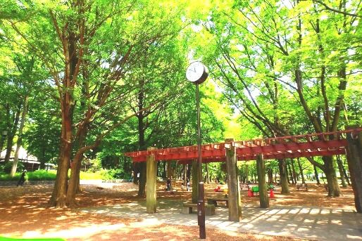 芦花の丘かたるぱ保育園(東京都世田谷区)
