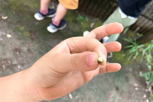 おともだち保育園(東京都世田谷区)