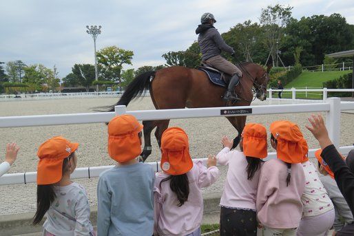 社会福祉法人けやき福祉会（祖師谷わかば保育園／祖師谷わかば保育園 千歳船橋分園あおば／大蔵ふたば保育園）(東京都世田谷区)