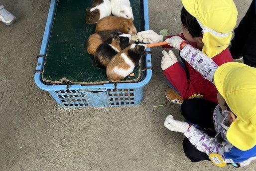 社会福祉法人けやき福祉会（祖師谷わかば保育園／祖師谷わかば保育園 千歳船橋分園あおば／大蔵ふたば保育園）(東京都世田谷区)