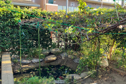 烏山杉の子保育園(東京都世田谷区)
