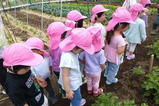 桜ヶ丘保育園(東京都世田谷区)