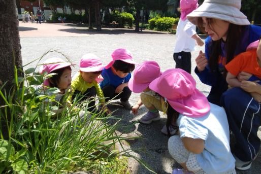 桜ヶ丘保育園(東京都世田谷区)